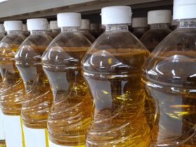 Promo Minyak Goreng Alfamart Hari Ini: Cara Cek, Tips Hemat, dan Info Terbaru