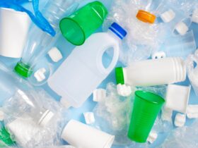 Botol Plastik: Fakta, Dampak, dan Cara Bijak Menggunakannya dalam Kehidupan Sehari Hari