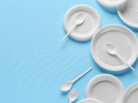 Piring Plastik Aman atau Tidak Jenis Fungsi dan Tips Memilih Terbaik