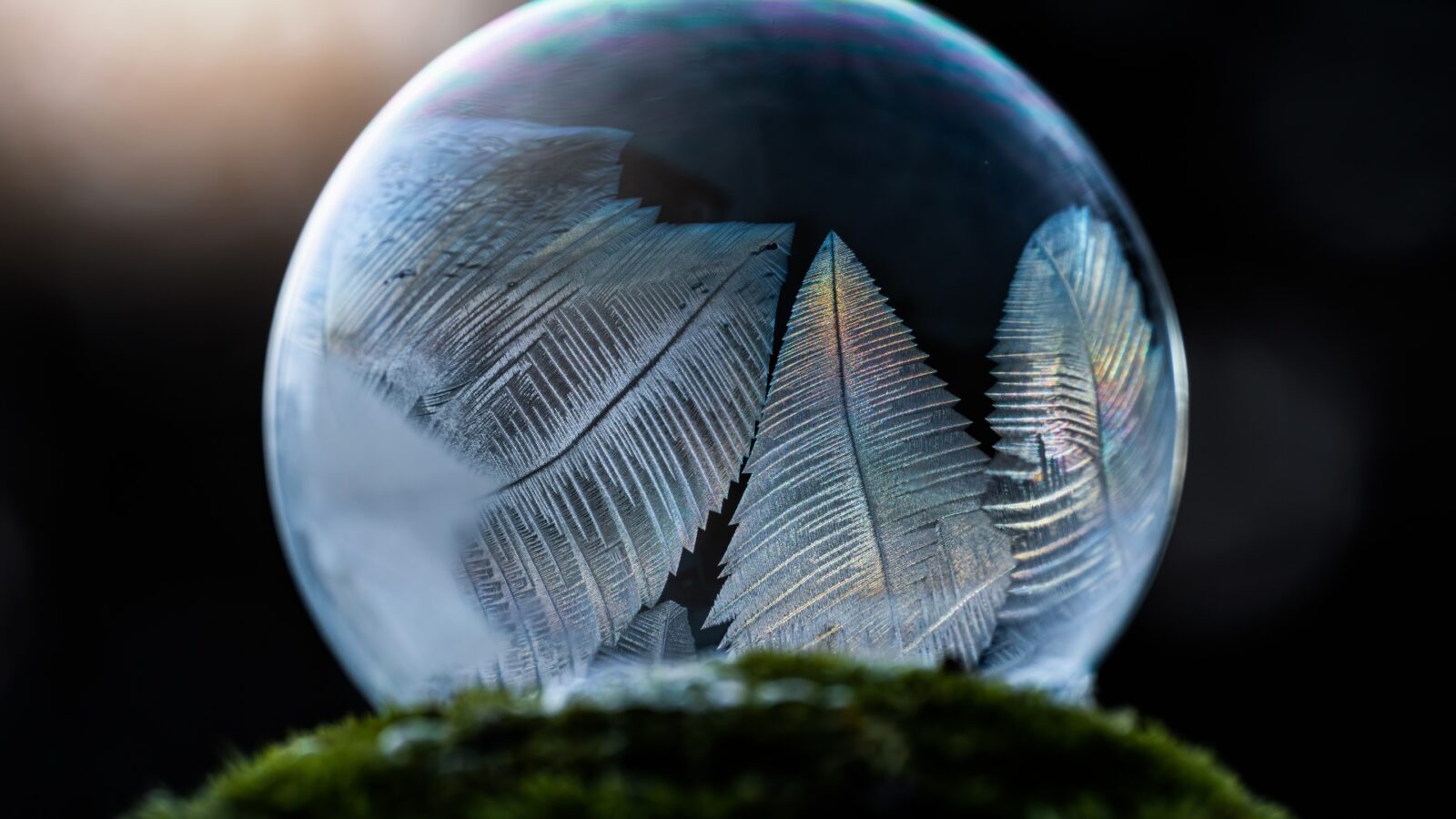 Unsur Unsur Lingkaran: Pengertian, Jenis, dan Penjelasan Lengkap untuk Pemula