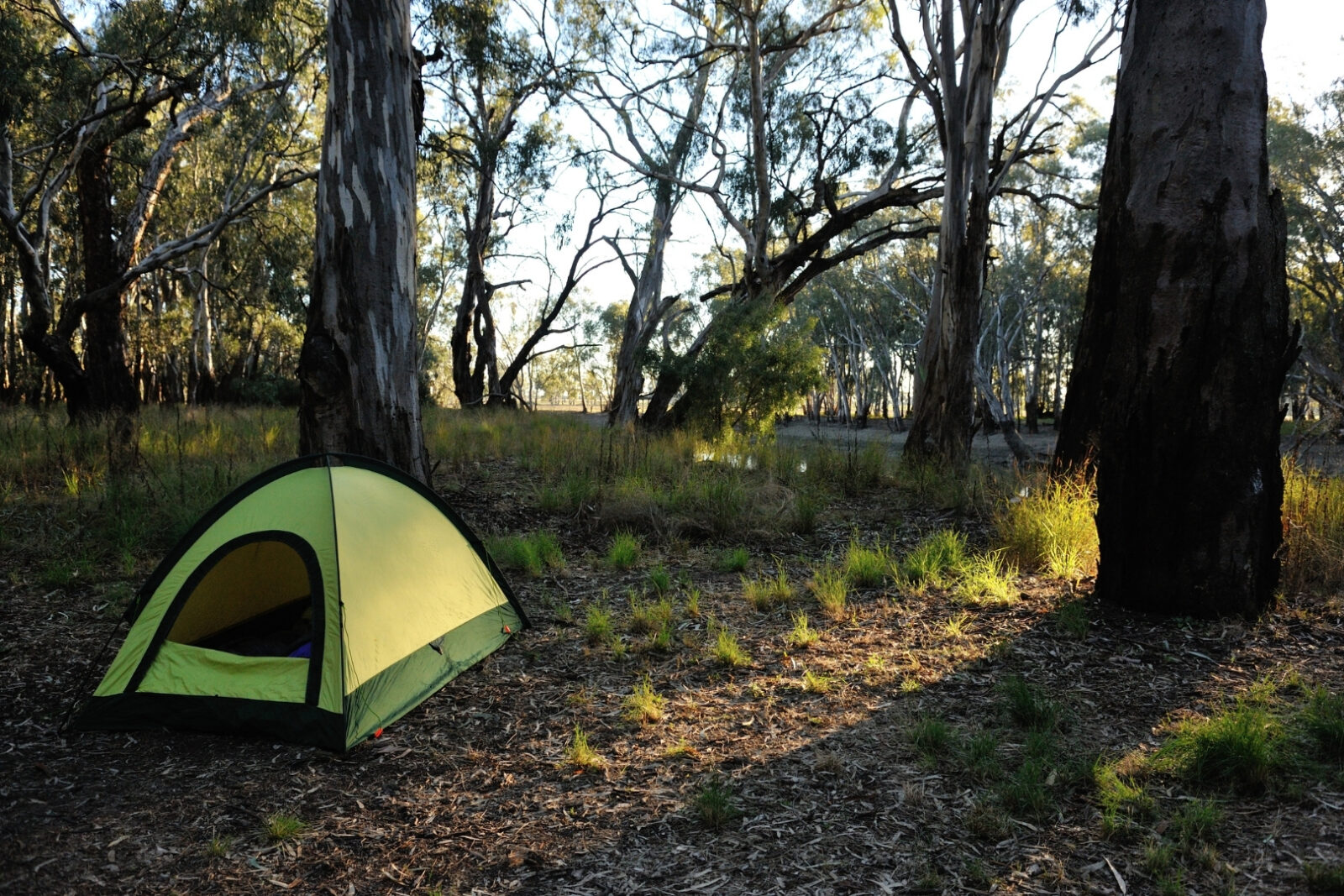 Camping Area Panduan Lengkap Menikmati Liburan Alam yang Nyaman