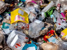 Sampah Non Organik Adalah: Pengertian, Contoh, dan Cara Mengolahnya