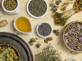 Informasi Obat Herbal yang Aman dan Manfaatnya untuk Kesehatan Sehari-hari