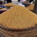 Harga Kedelai per Kg Hari Ini dan Prediksi Harga di Masa Mendatang