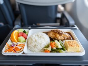 Garuda Indonesia Menu Makanan di Pesawat Pilihan dan Harga Terbaru